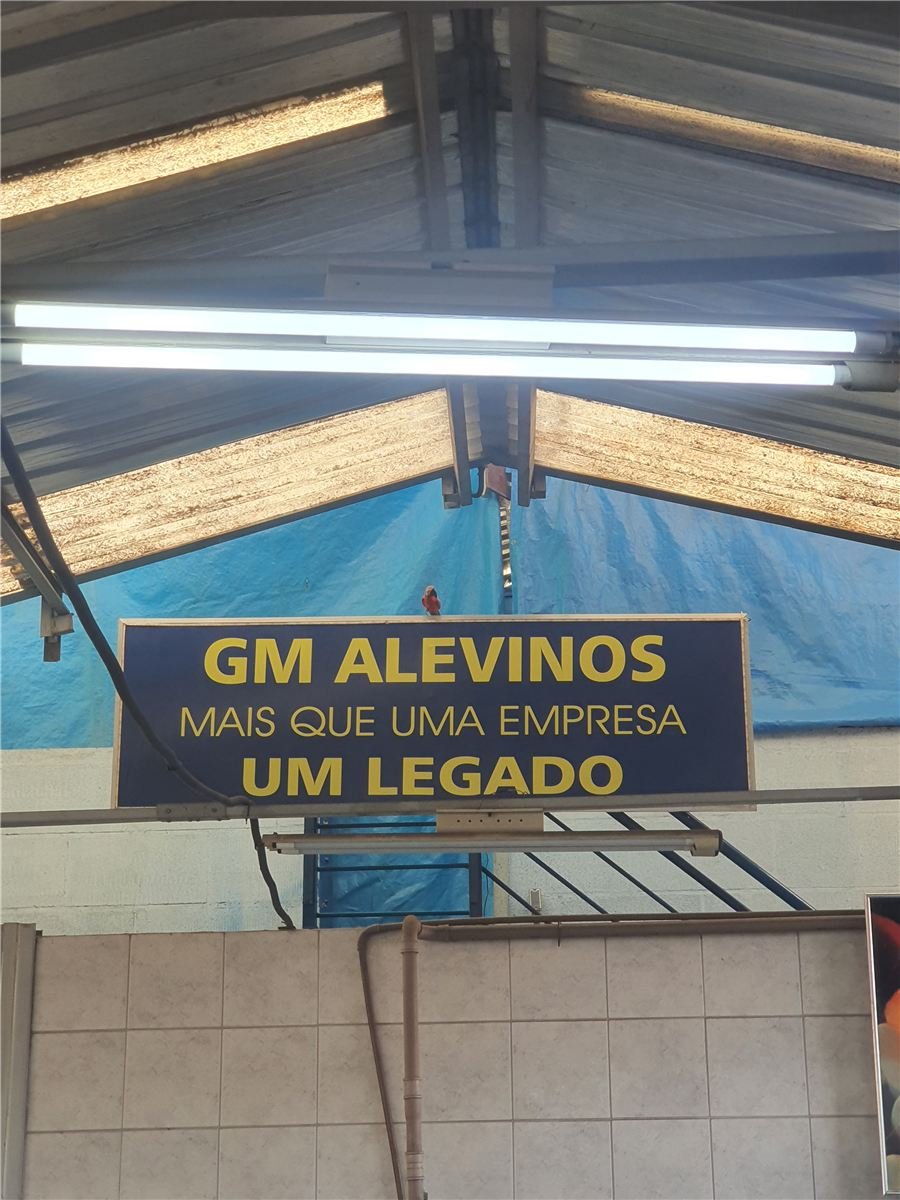 Área interna dos tanques